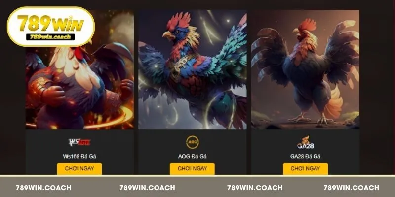 3 sảnh đá gà nổi bật có mặt tại 789Win