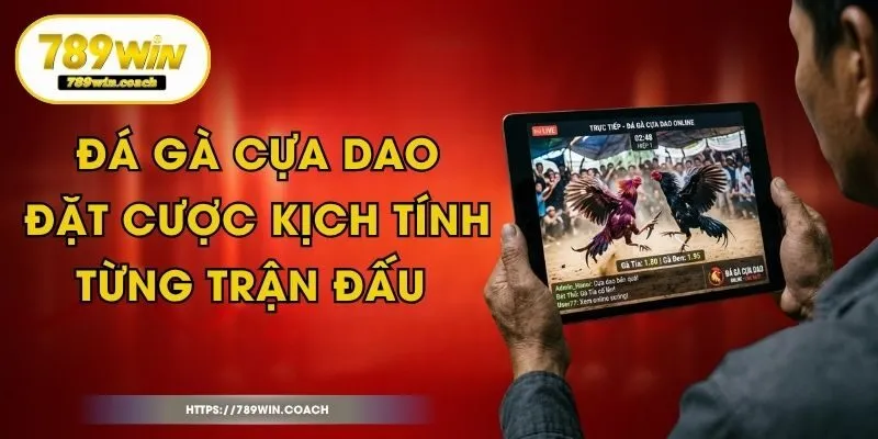 Đá Gà Cựa Dao - Đặt Cược Kịch Tính Từng Trận Đấu