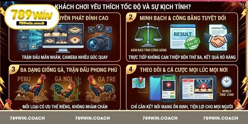 Đá gà cựa dao tại 789Win sở hữu nhiều ưu điểm nổi bật