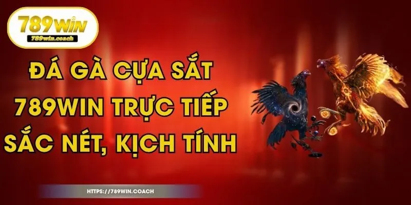 Đá Gà Cựa Sắt - 789Win Trực Tiếp Sắc Nét, Kịch Tính