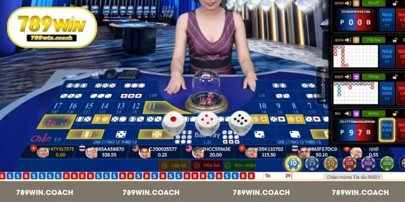 Quy định cần nắm khi cược game tại 789Win dễ hiểu
