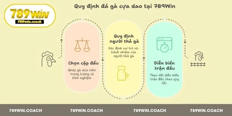 Quy định của đá gà cựa dao tại 789Win chi tiết bạn cần nắm